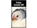 Pullet Grower 20ks (LM)