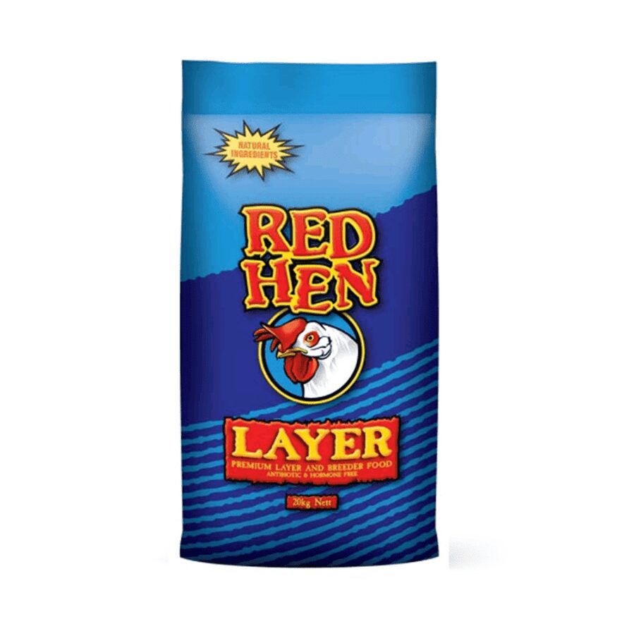 Red Hen Blue Layer